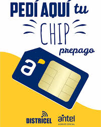Chip Antel